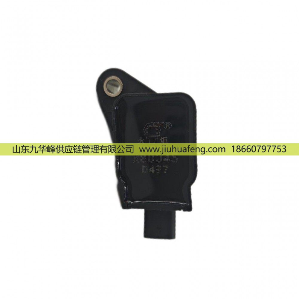 火炬 點火線圈 R80045 DQR2245-DM 適配于濰柴LNG天然氣發動機 博世點火系統/R80045 DQR2245-DM