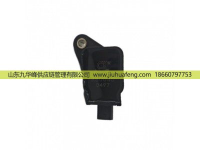 R80045 DQR2245-DM,点火线圈 Ignition Coil,山东九华峰供应链管理有限公司