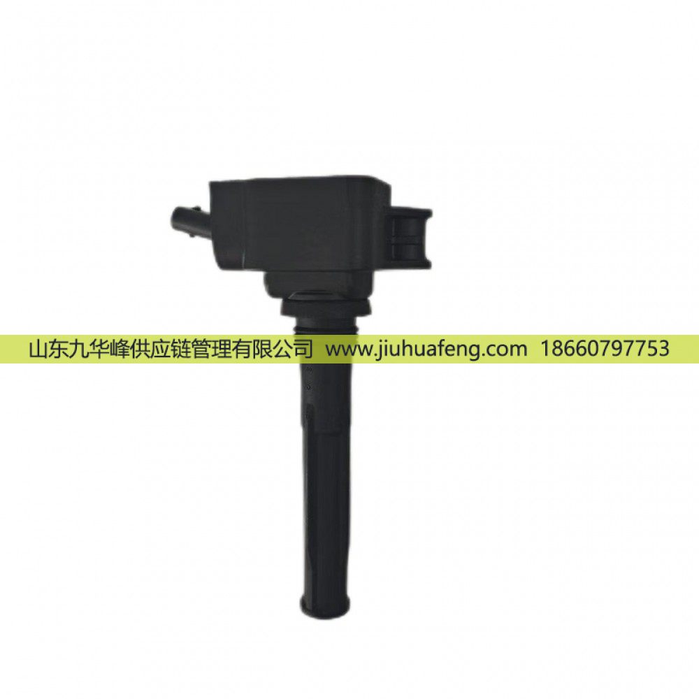 火炬 點火線圈 R80045 DQR2245-DM 適配于濰柴LNG天然氣發動機 博世點火系統/R80045 DQR2245-DM