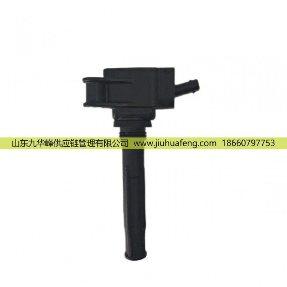 火炬 點火線圈 R80045 DQR2245-DM 適配于濰柴LNG天然氣發動機 博世點火系統/R80045 DQR2245-DM