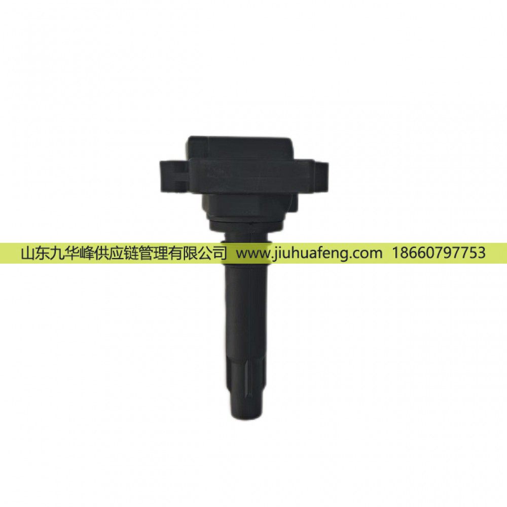 R81031 DQR1231A-D,点火线圈 Ignition Coil,山东九华峰供应链管理有限公司