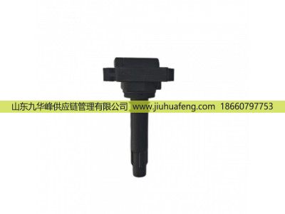R81031 DQR1231A-D,点火线圈 Ignition Coil,山东九华峰供应链管理有限公司