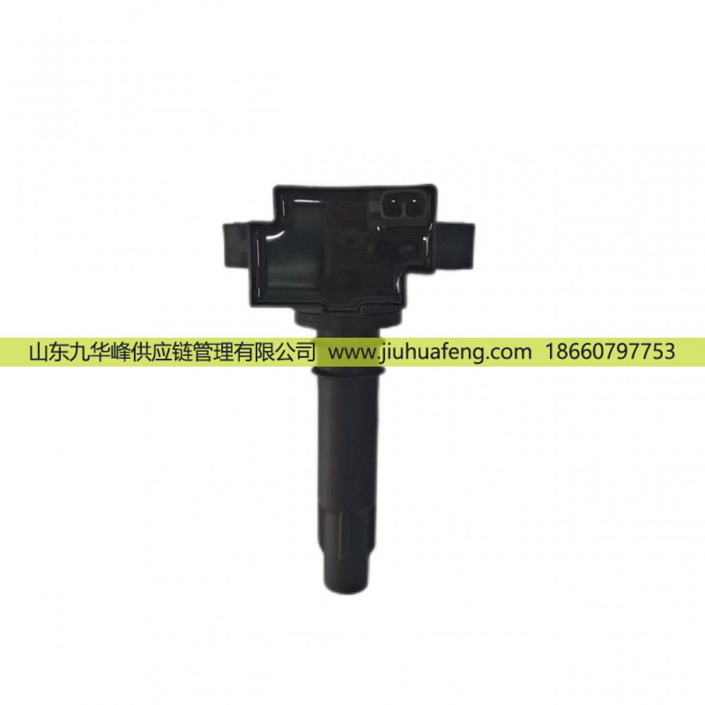 R81031 DQR1231A-D,点火线圈 Ignition Coil,山东九华峰供应链管理有限公司