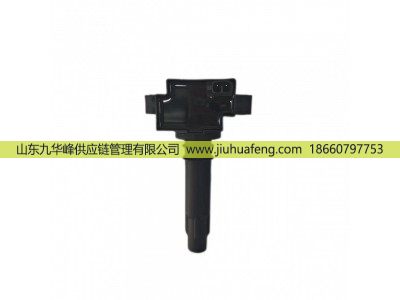 R81031 DQR1231A-D,点火线圈 Ignition Coil,山东九华峰供应链管理有限公司