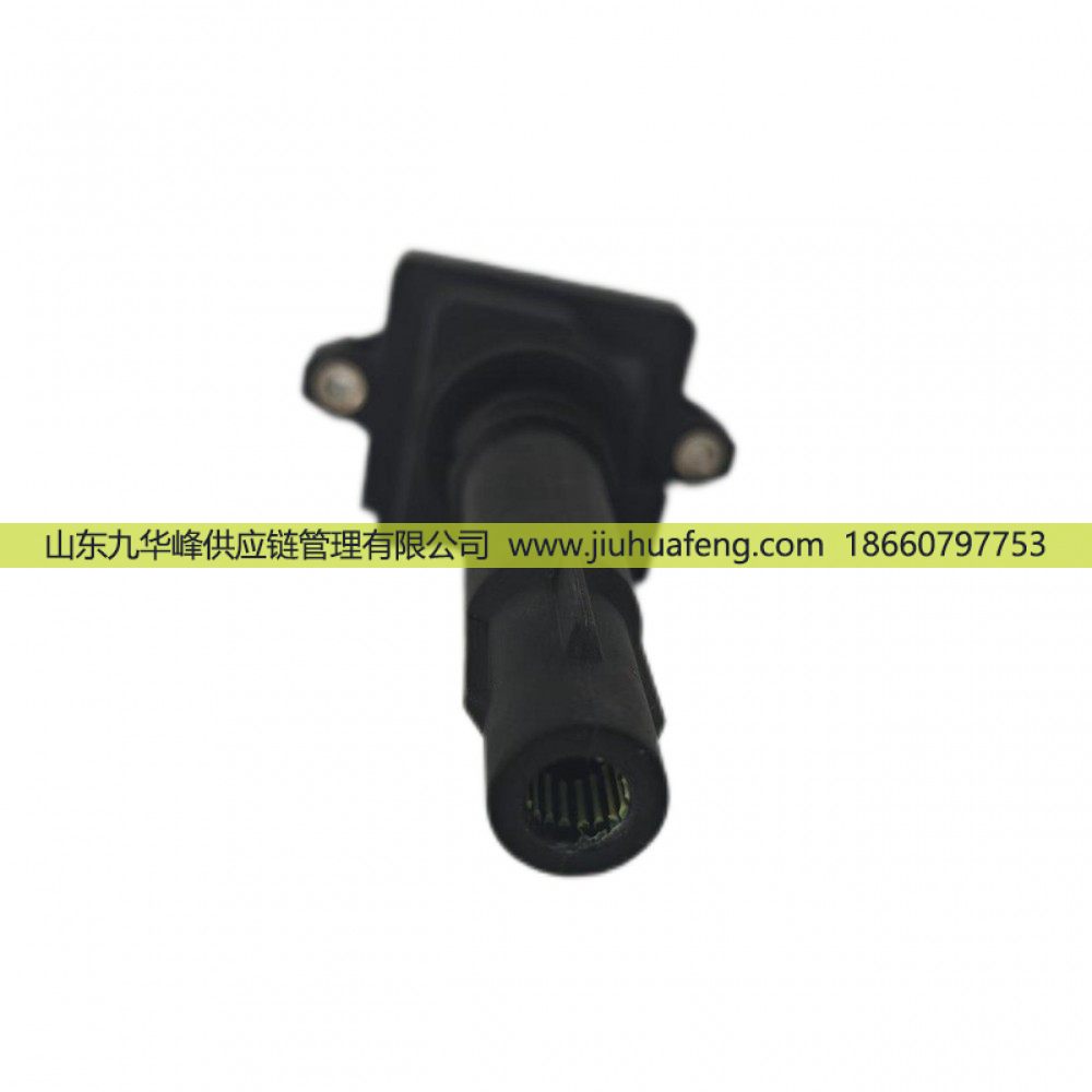 R81031 DQR1231A-D,点火线圈 Ignition Coil,山东九华峰供应链管理有限公司