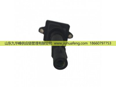 R81031 DQR1231A-D,点火线圈 Ignition Coil,山东九华峰供应链管理有限公司
