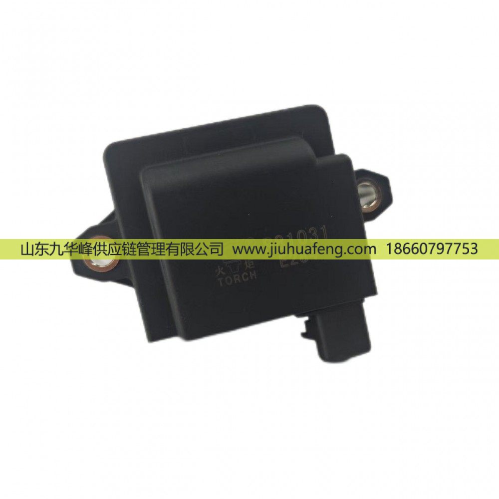 R81031 DQR1231A-D,点火线圈 Ignition Coil,山东九华峰供应链管理有限公司