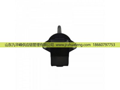5557908,点火线圈 Ignition Coil,山东九华峰供应链管理有限公司