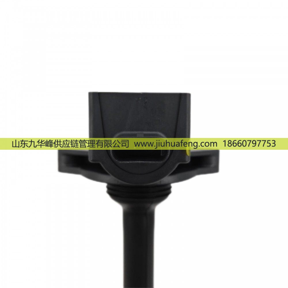 6494203,点火线圈 Ignition Coil,山东九华峰供应链管理有限公司