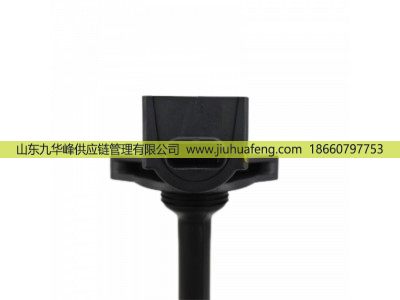 6494203,点火线圈 Ignition Coil,山东九华峰供应链管理有限公司