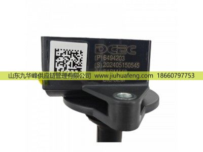 6494203,点火线圈 Ignition Coil,山东九华峰供应链管理有限公司