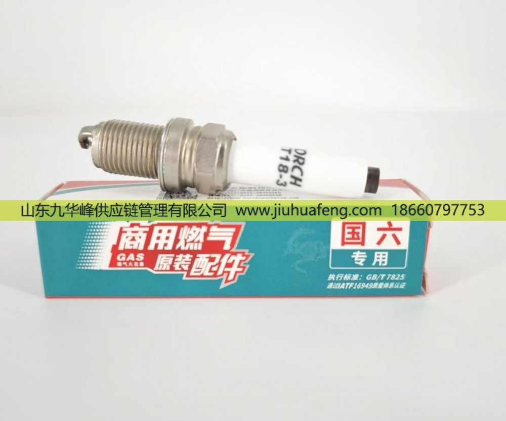 火炬 火花塞 KT18-3 適配于國六燃?xì)獍l(fā)動機/KT18-3