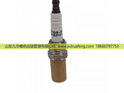 WT98-3,Spark Plug火花塞,山东九华峰供应链管理有限公司