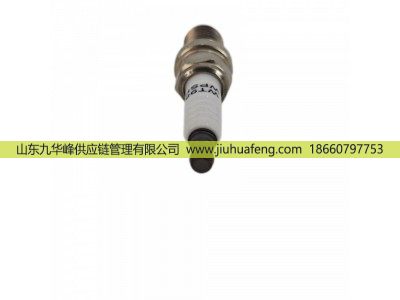 WT98-3,Spark Plug火花塞,山东九华峰供应链管理有限公司