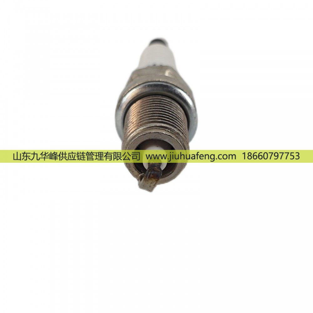 火炬 鉑金火花塞 ZT57-4 適配于LNG天然氣商用車發(fā)動(dòng)機(jī)/ZT57-4