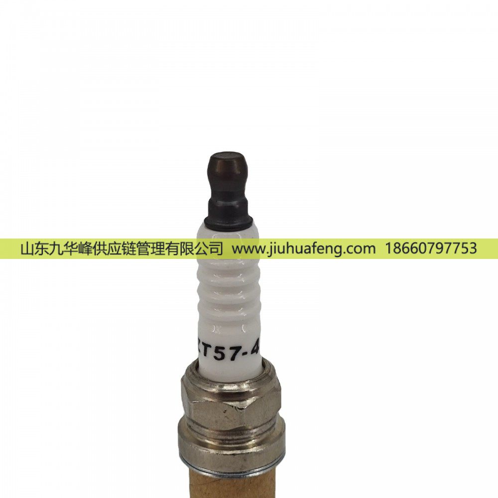 火炬 鉑金火花塞 ZT57-4 適配于LNG天然氣商用車發(fā)動(dòng)機(jī)/ZT57-4