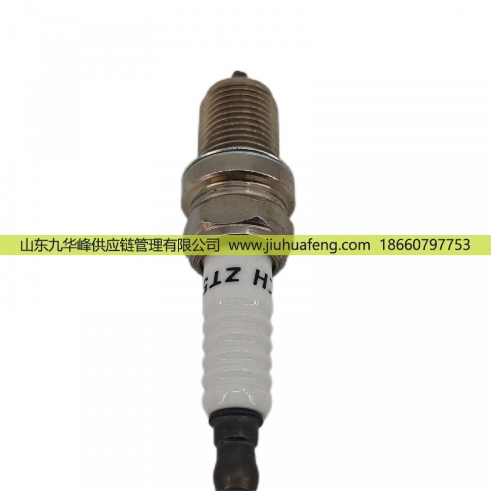 火炬 鉑金火花塞 ZT57-4 適配于LNG天然氣商用車發(fā)動(dòng)機(jī)/ZT57-4