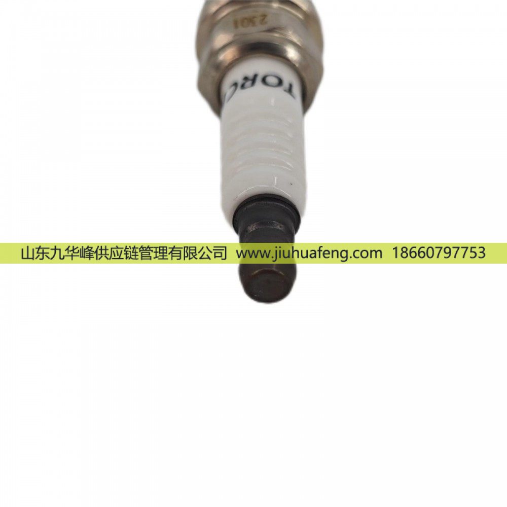 火炬 鉑金火花塞 ZT57-4 適配于LNG天然氣商用車發(fā)動(dòng)機(jī)/ZT57-4