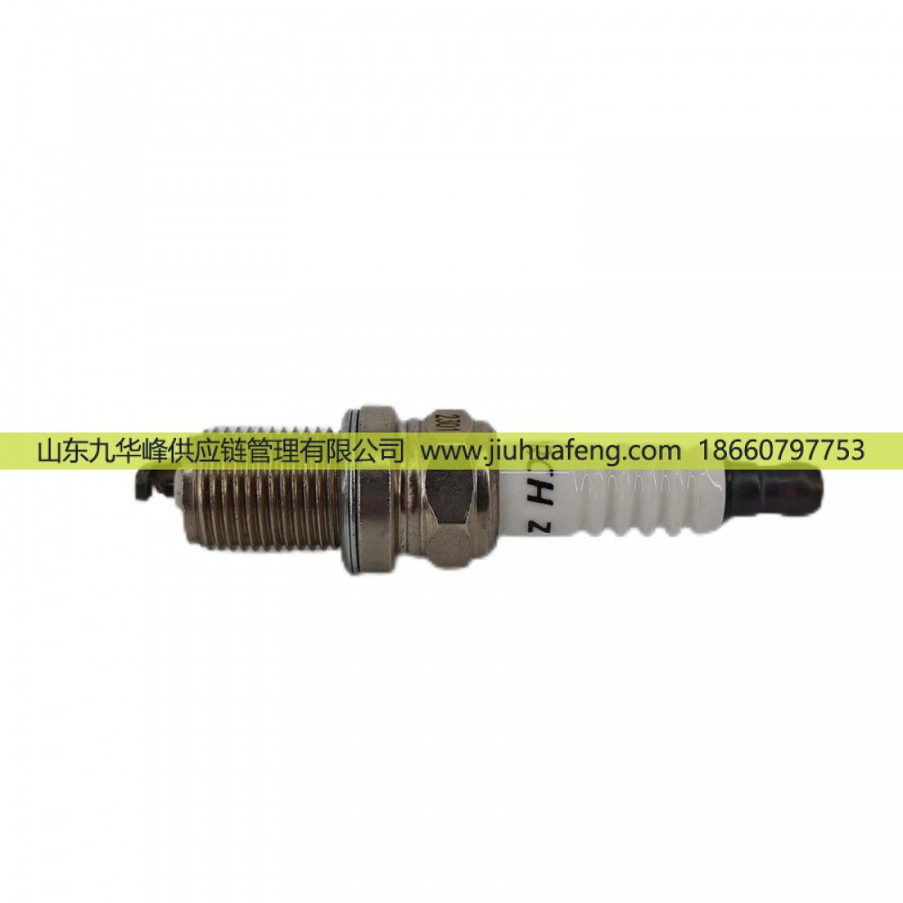 火炬 鉑金火花塞 ZT57-4 適配于LNG天然氣商用車發(fā)動(dòng)機(jī)/ZT57-4