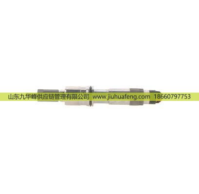 0445120019 0445120020 0445120040 0445120041,喷油器Fuel Injector,山东九华峰供应链管理有限公司