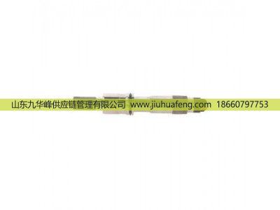 0445120019 0445120020 0445120040 0445120041,喷油器Fuel Injector,山东九华峰供应链管理有限公司