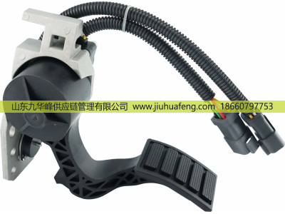 23897053 84557605 20715971 20893513 21116878 82628009 3175129,Accelerator pedal 油门踏板,山东九华峰供应链管理有限公司