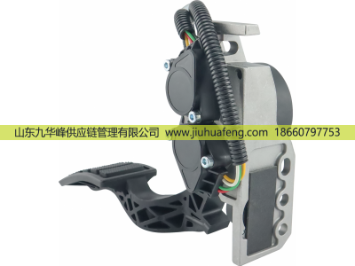 23897053 84557605 20715971 20893513 21116878 82628009 3175129,Accelerator pedal 油门踏板,山东九华峰供应链管理有限公司