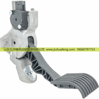 1785206 1737503 1879728 1959533 1844191 1742594,Accelerator pedal 油门踏板,山东九华峰供应链管理有限公司