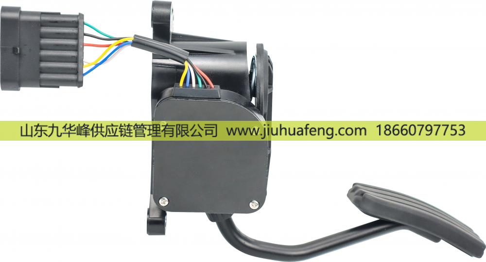 C41R13.3761231-02,Accelerator pedal 油門踏板,山東九華峰供應(yīng)鏈管理有限公司
