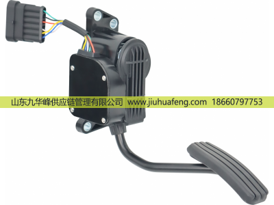 C41R13.3761231-02,Accelerator pedal 油門踏板,山東九華峰供應(yīng)鏈管理有限公司