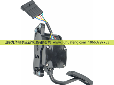 C41R13.3761231-02,Accelerator pedal 油門踏板,山東九華峰供應(yīng)鏈管理有限公司