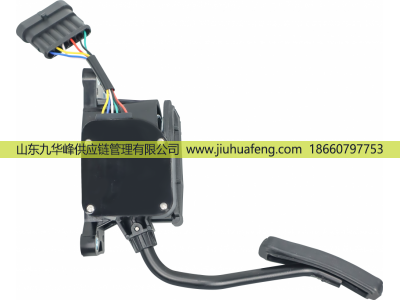 C41R13.3761231-02,Accelerator pedal 油門踏板,山東九華峰供應(yīng)鏈管理有限公司