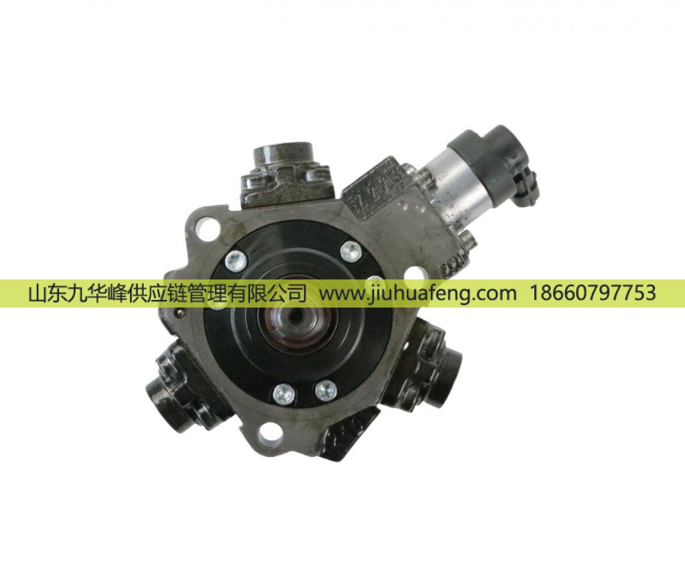 0445010199,油泵 Oil Pump,山東九華峰供應鏈管理有限公司