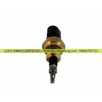 C4088832 溫度傳感器 Temperature Sensor 適配于康明斯