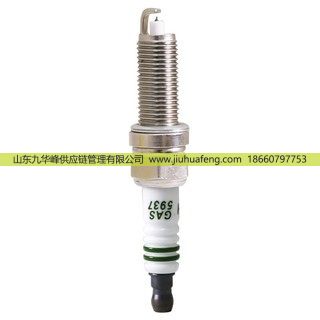 5937,火花塞 Spark Plug,山東九華峰供應(yīng)鏈管理有限公司