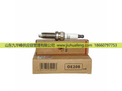 F4J16-3707010 OE208 LDK8RTIP,火花塞 Spark Plug,山東九華峰供應(yīng)鏈管理有限公司