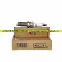 F4J16-3707010 OE208 LDK8RTIP,火花塞 Spark Plug,山東九華峰供應(yīng)鏈管理有限公司