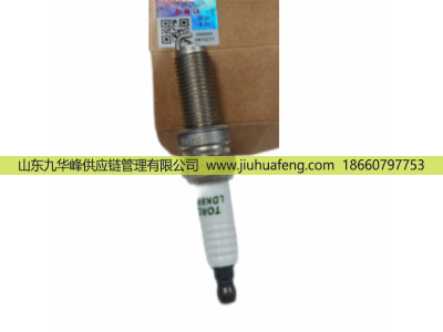 F4J16-3707010 OE208 LDK8RTIP,火花塞 Spark Plug,山東九華峰供應(yīng)鏈管理有限公司