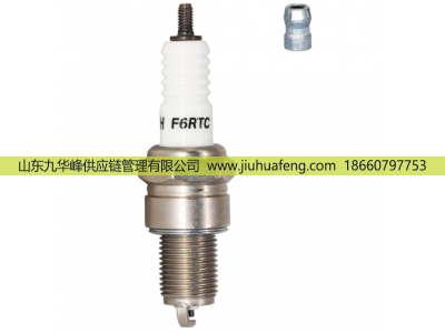 F6RTC,火花塞 Spark Plug,山東九華峰供應(yīng)鏈管理有限公司