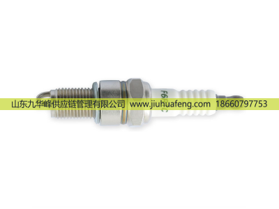 F6RTC,火花塞 Spark Plug,山東九華峰供應(yīng)鏈管理有限公司