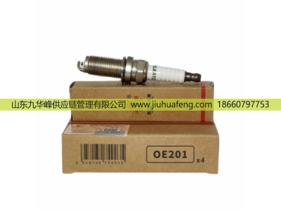 KL6RTC OE201 1016050983,火花塞 Spark Plug,山東九華峰供應(yīng)鏈管理有限公司
