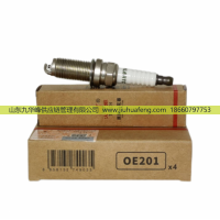KL6RTC OE201 1016050983,火花塞 Spark Plug,山東九華峰供應(yīng)鏈管理有限公司