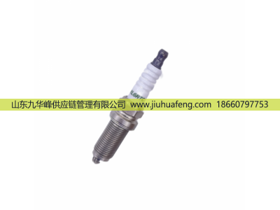 KL6RTC OE201 1016050983,火花塞 Spark Plug,山東九華峰供應(yīng)鏈管理有限公司