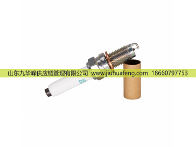 LD7RMII 6860,火花塞 Spark Plug,山東九華峰供應鏈管理有限公司