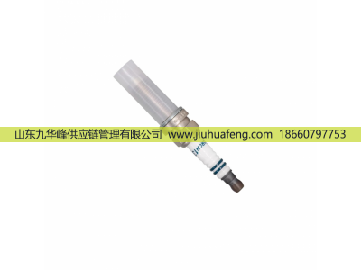 LD8RBIP OE223 5511691475,火花塞 Spark Plug,山東九華峰供應(yīng)鏈管理有限公司
