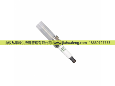 LD8RCIP OE224 5511695670,火花塞 Spark Plug,山東九華峰供應(yīng)鏈管理有限公司
