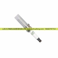 LD8RCIP OE224 5511695670,火花塞 Spark Plug,山東九華峰供應(yīng)鏈管理有限公司