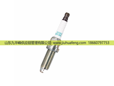 LD8RHII,火花塞 Spark Plug,山东九华峰供应链管理有限公司
