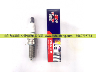 LDK7RTC,火花塞 Spark Plug,山東九華峰供應(yīng)鏈管理有限公司
