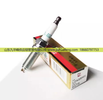 LDK8RHII 6173,火花塞 Spark Plug,山東九華峰供應(yīng)鏈管理有限公司